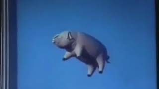 Pink Floyd ~ Pigs On The Wing Part 2