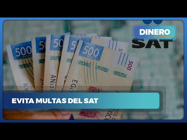 Tu dinero - ¿Cómo hacer la declaración anual 2025 ante el SAT? Estos ...