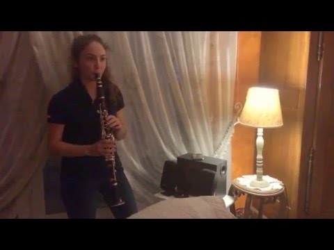 happy by PHARRELL WILLIAMS (clarinet cover)