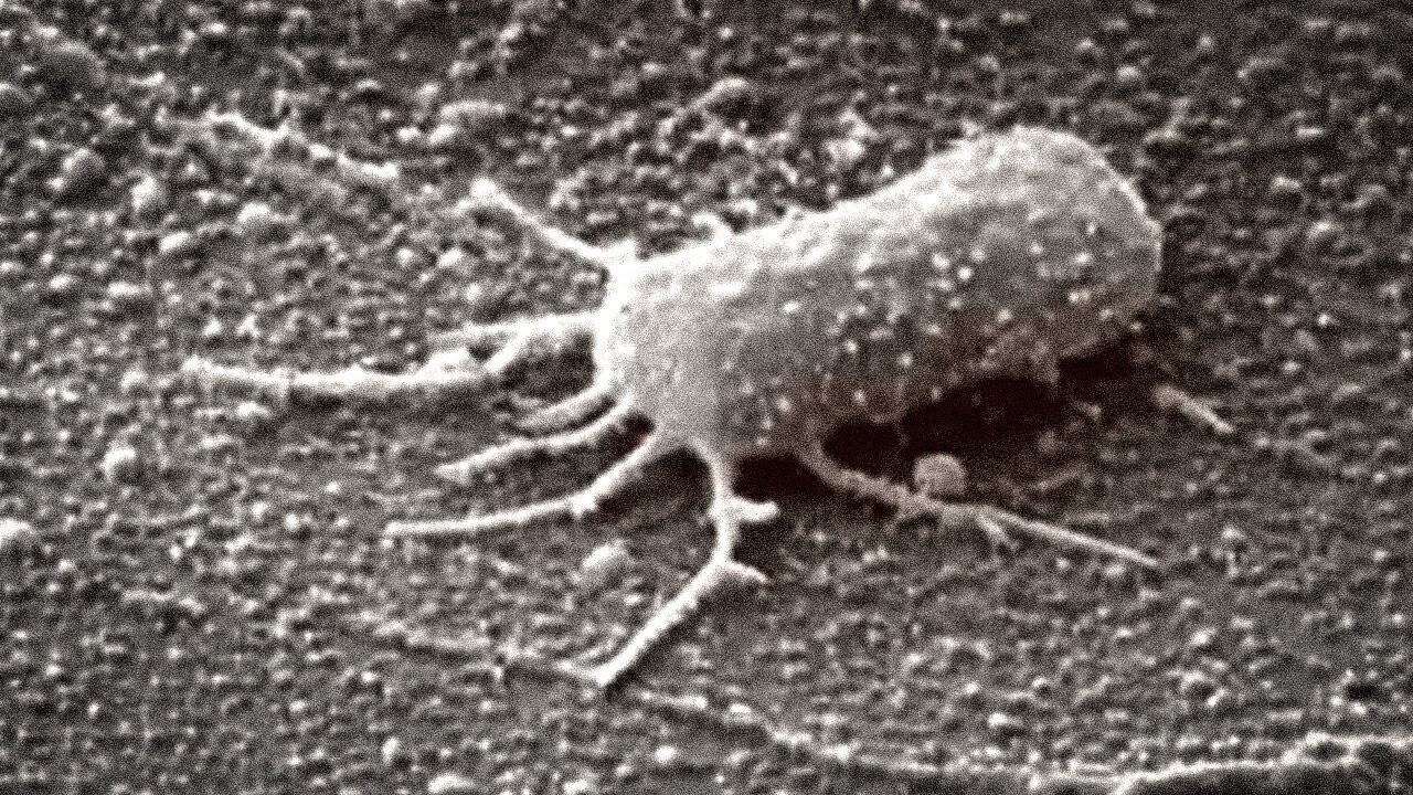 Возможно, мы наконец-то нашли жизнь на Марсе