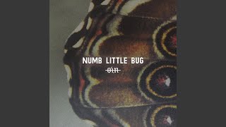 Numb Little Bug