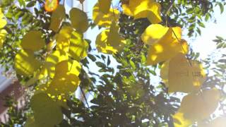 a not-so-lost-year, Lost Year by Mutemath