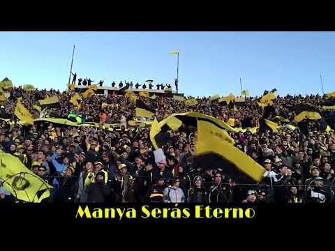 "Como me voy a olvidar" Barra: Barra Amsterdam &bull; Club: Peñarol