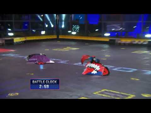 2019 Battlebots S04 E10 Hydra Vs Petunia