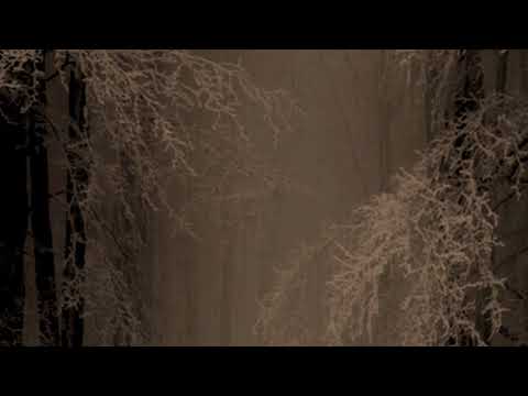 The last snow-Alina Pisleaga