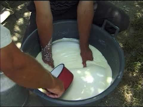 Antologia de Folclor a Județului Alba - BACI și BĂCIȚE (Gheorghe Barabaș din Fărău)