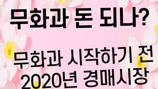 무화과 시작하기전 경매시장 단가 확인