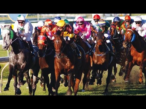 1994 QTC Brisbane Cup _ SKY FLYER