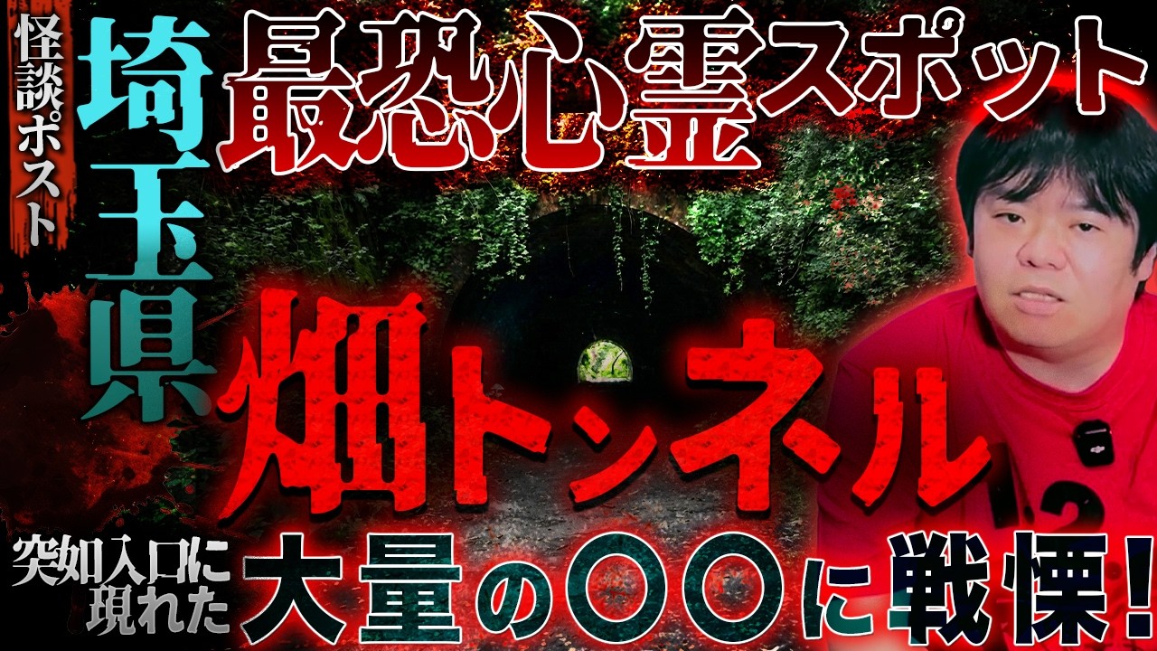 ※心スポ怪談※埼玉県・心霊スポット「畑トンネル」入り口に置かれた●●の正体とは…⁉️【ナナフシギ】【怖い話】