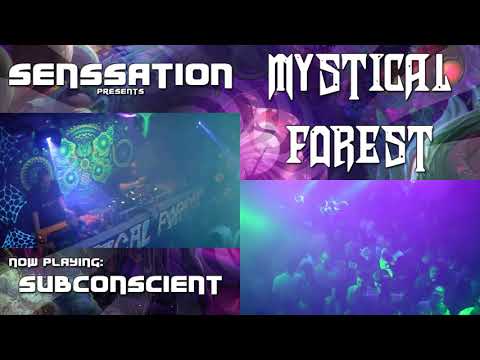 2018-11-24 Mystical Forest 4 (5) Subconscient