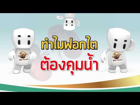 กรัมจักรพรรดิแรงยาเสพติด อวัยวะเพศชายยาขยาย