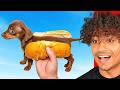 ONE HOUR Try Not To Laugh Challenge