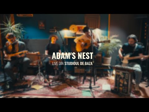 Adam's Nest and Studioul de Bază