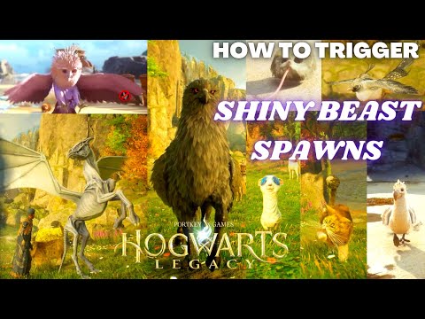Hogwarts Legacy - How To Spawn Shiny Beasts - How To Trigger A Shiny Spawn - Catch Shiny Beasts