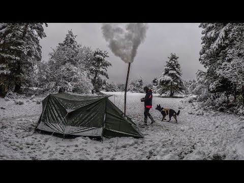 Warm Tent Camping in the Snow with My Dog | Freezing Winter Conditions, Snow, Wood Stove