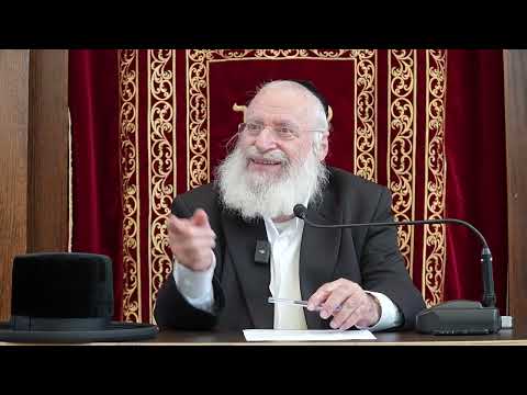 Ta'amei HaMitzvos | Weekly Shiur by Rav Asher Weiss Shlit"a (Chukas 5786)