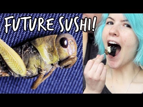 バッタを食べますか？未来の寿司｜アットブリストル科学センター (Would you eat a grasshopper? Future Sushi | At-Bristol Science Centre)