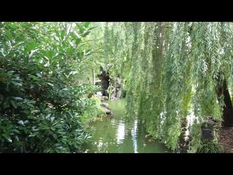 Luisenpark Mannheim Chinesisches Teehaus in 4K