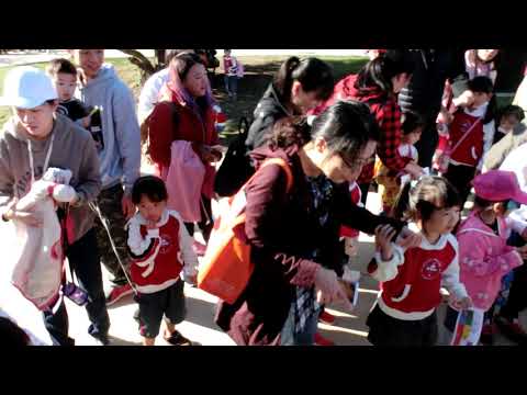 小小綠巨人好客任務 13