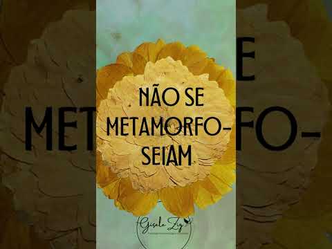 Envelhecer. Simone de Beauvoir. #shorts