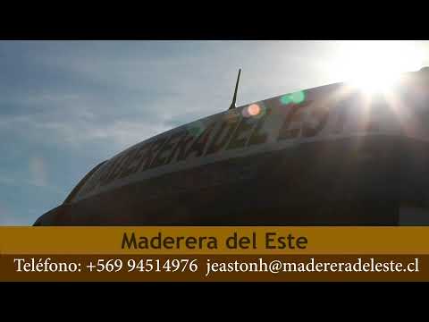 Serie Caballos / Clasificatorio Zona Sur - Los Angeles 2025