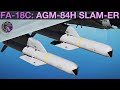 FA-18C Hornet: AGM-84H SLAM-ER (PP/TOO)(Single/Ripple) Tutorial | DCS WORLD