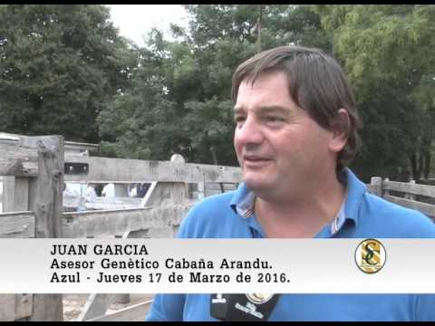 17-03-16 Nota Juan Garcia - Nestor I. Goenaga y Ganadera Azul - Azul