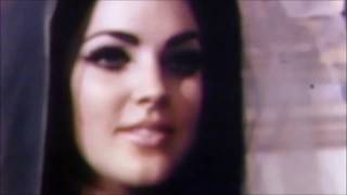 i need your love ~ elvis and priscilla presley