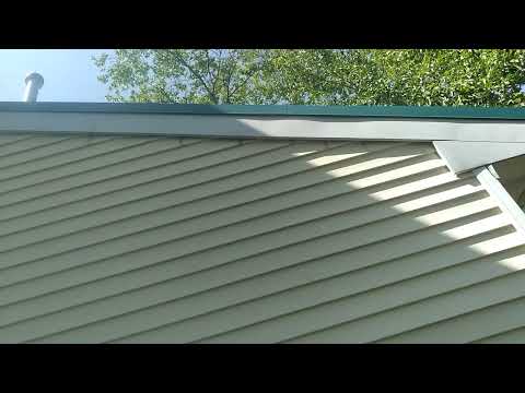 Exterminating Carpenter Bees in Avon by the Sea, NJ