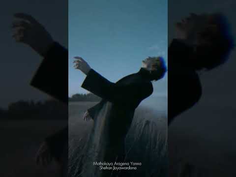 Mathakaya Aragena Yanna (Remake) - Shehan Jayawardana #progressivehouse #trendingshorts #trending