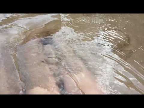 Aguas Termales, Roboré