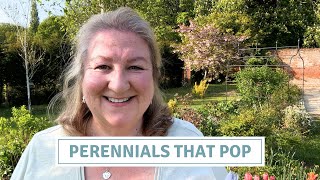 How to Plant Perennials for Colour & Impact | Right Plant, Right Place // Cottoverdi