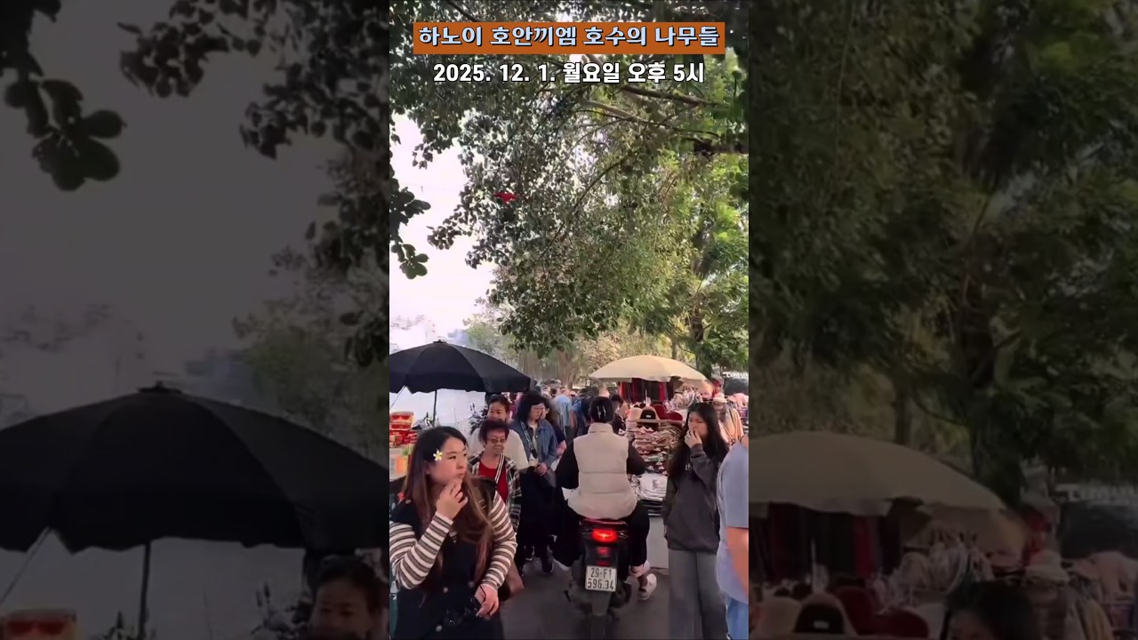 [풍경] 베트남 하노이 호언끼엠 호수의 나무들