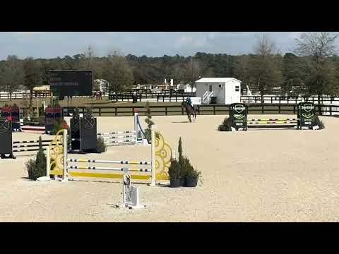 AVIATOR video 4