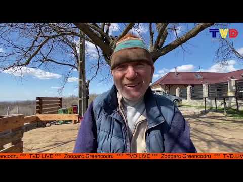 ZooParc GreenCodru - Muntii Codru Moma - Bihor