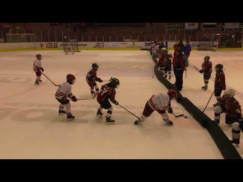 XI Santa Claus Cup Vasas - HC Ocelari Trinec  1. félidő