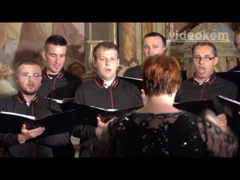 MOPZ Kapele-nastop v Brežicah 2017