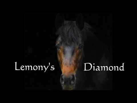 Lemony's Diamond    gelding 2014 by Lemony's Nicket   De Niro / Sold!