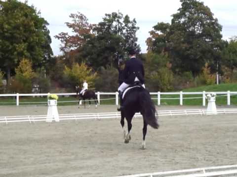 NPZ Bern, Final R ZKV2 (L-16)