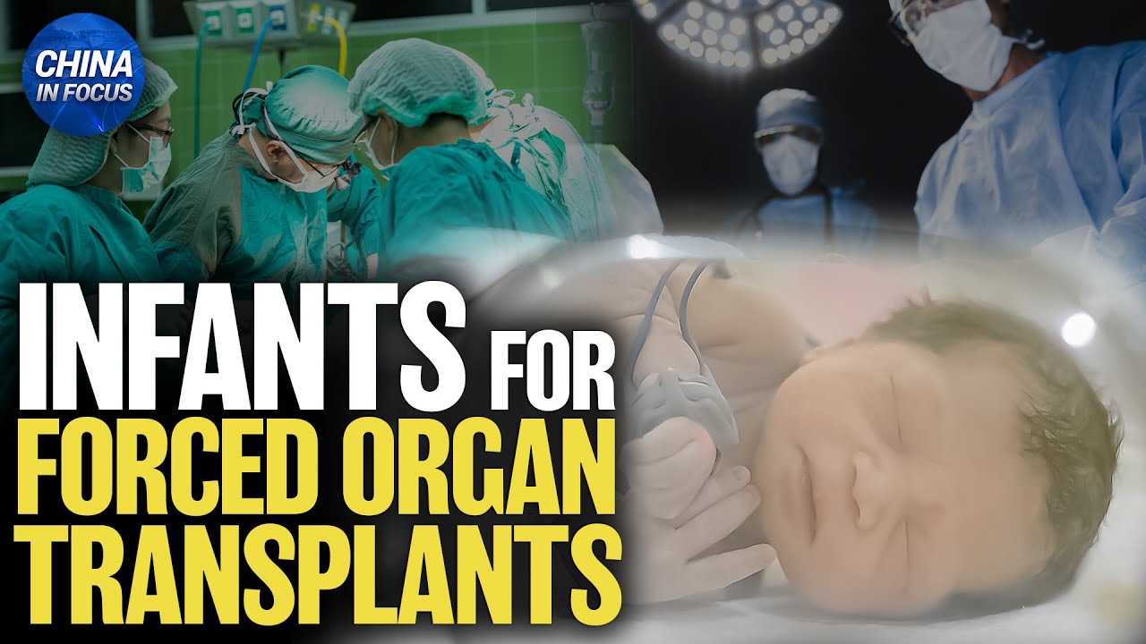 China's Hidden Atrocity: Infant Organ Transplants | China in Focus