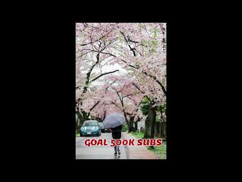 Concrete Jungle 2   Jan Chmelar (Epidemic Sound)