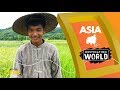 Asia | Destination World