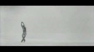 Марис Лиепа - танец птицы