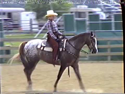 Throwback Thursday Maryland Appaloosa Show May 30 1989