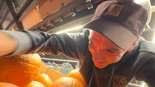 Store Pumpkins, Escaped Chickens, Epic Shots, Vintage LEGO, and a Curse