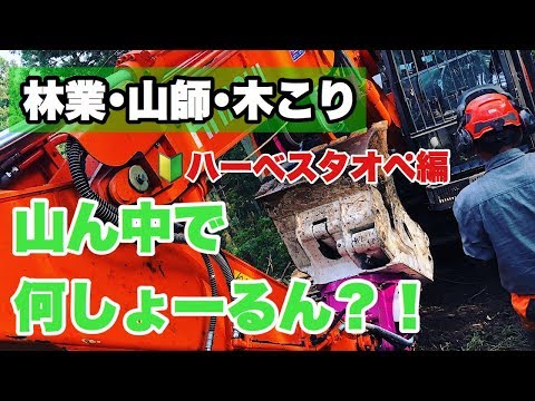 【林業】山の中での仕事って意外と皆さん知りませんよね？【高性能林業機械】