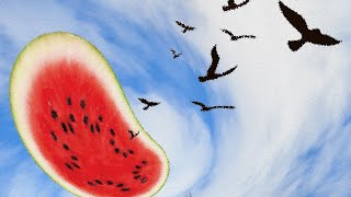 melon sky Music Video