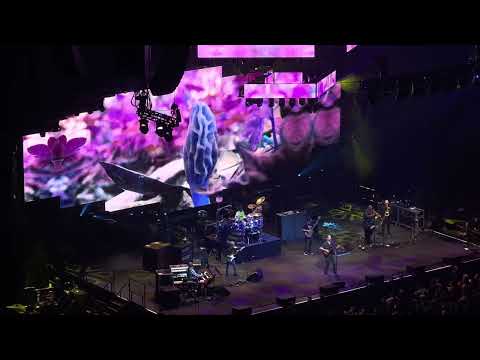 Walk Around the Moon 🌖 - Dave Matthews Band Live at The Climate Pledge Arena in Seattle 11/4/2022