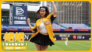 勝利卡農🔔 峮峮 （ちゅんちゅん）チュンチュン  Passion Sisters 中信兄弟啦啦隊 cheerleader 치어리더  臺中洲際棒球場 2024/8/17【台湾チアTV】
