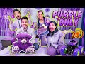 Using Only Purple Things For 24 Hours Challenge Hungry Birds
